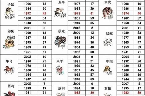 1995是什么猪|1995年的猪是属于什么命 95年出生属猪人是火命吗